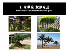 大型景观树厂家值得信赖「北京棕榈树」