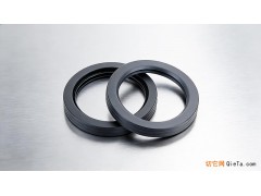 广东耐气候的全四氟油封B1型生产厂家